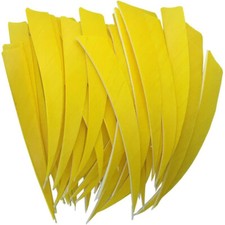 50X Bogenschießen Pfeilfedern