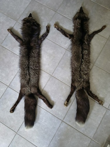 Silberfuchs pelz kragen stola - silberfuchs,