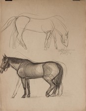 Fritz Tröger Pferd Tierstudie