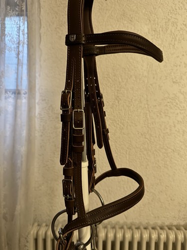 Hillbury liberta araber pony - hillbury,