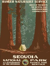 Altes Poster Sequoia