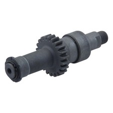 Hercules Prima M Motor Sachs