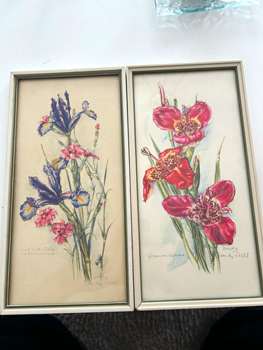 2er set gerahmte blumenbilder - 2er,