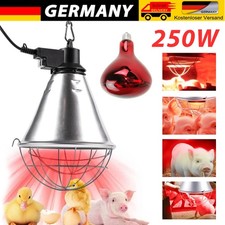 Wärmelampe für Tieraufzucht