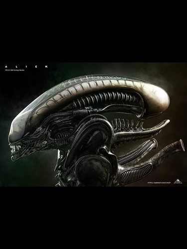 Alien life size bust queen - alien,