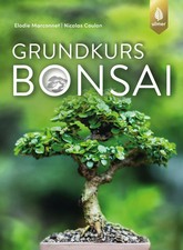 Grundkurs Bonsai | Elodie