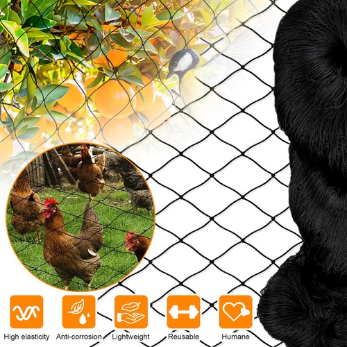 Gartennetz vogelschutznetz - gartennetz,