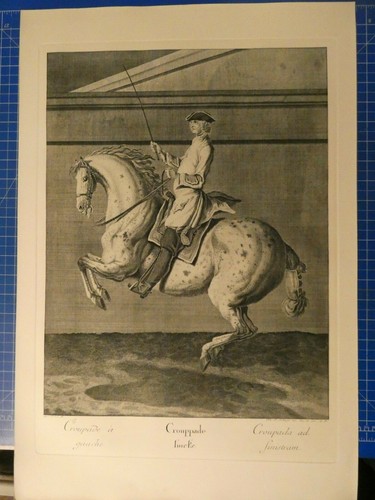 Riedinger die grosse - e.riedinger,