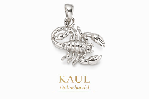 925 silber sternzeichen - 925,