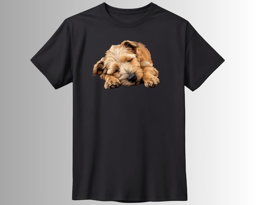 Süßer schlafender hund - schlafender,