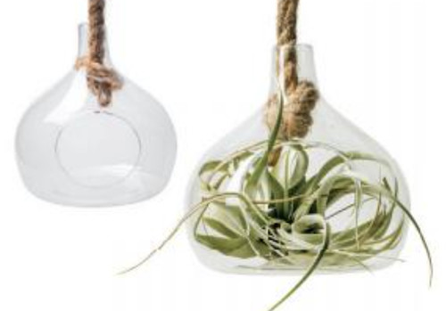 Hänger glaskugel kugelvase - glaskugel,