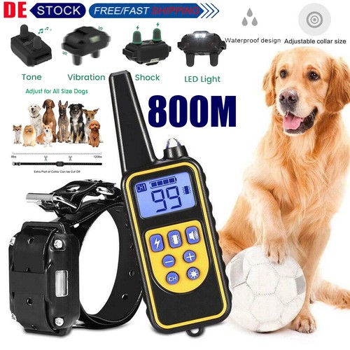 800m ferntrainer - 800m,