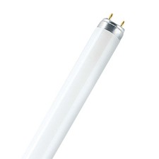 Osram Leuchtstoffröhre LUMILUX - T8, 865 Tageslicht - 15W - Röhre Daylight