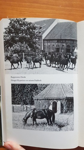 Erinnerungen ostpreußen - erinnerungen, *