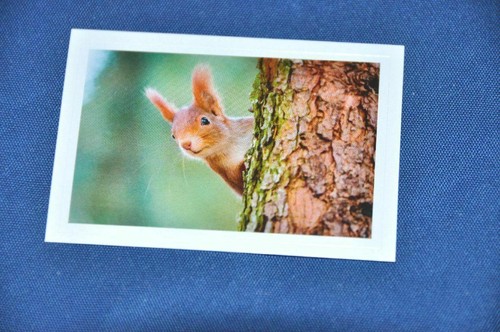 Rewe abenteuer tierwelt - abenteuer,
