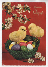 AK  Frohe Ostern!  Küken-bunte Eier-Korb-Kirschblüten 1962  gel.