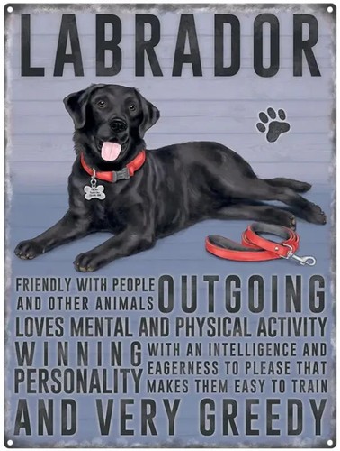 Schwarzes labrador kleines - schwarzes,