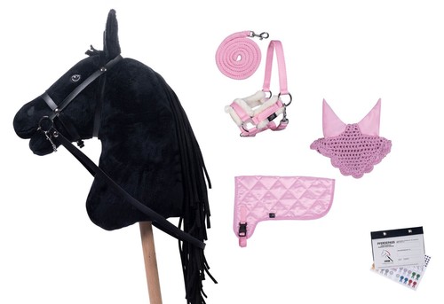 Hobby horse - hobby,