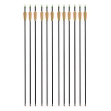 12 Fiberglaspfeile Pfeile