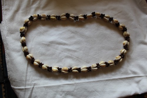 Vintage kauri muschel - vintage, &