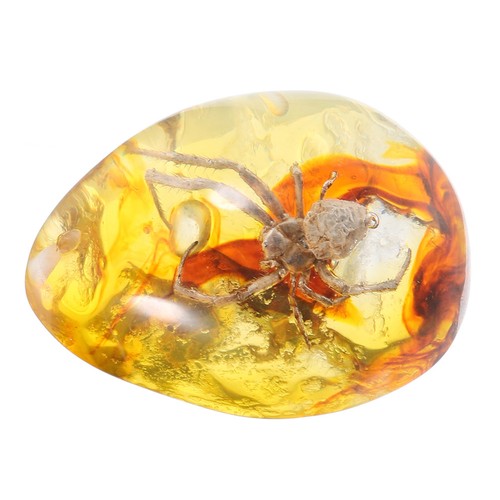 Harz bernstein spinne - ,