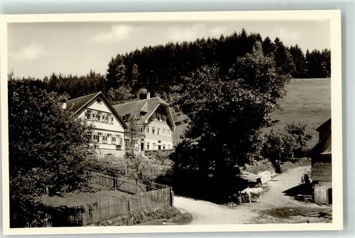 13261232 7292 schwarzenberg - 7292,
