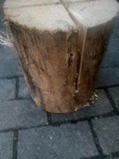 Schwedenfeuer / Baumfackel