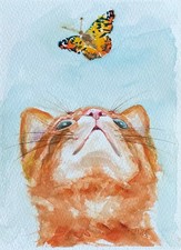 Katze Schmetterling Original