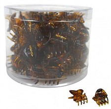 100 Stück Haarspangen
