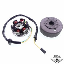 Lichtmaschine Polrad