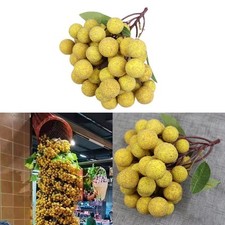 Auffälliges Longan Obst