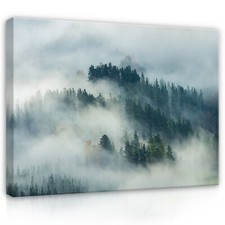 WALD NEBEL NATUR Leinwandbild