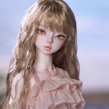 1/4 Resin BJD SD Ball Jointed