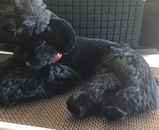 Steiff Tier Pudel ( Hund)