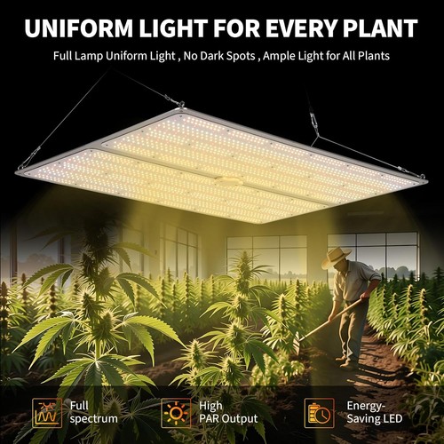 600w led grow - grow, light