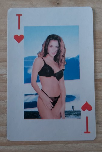 Spiele karte skat - skat,