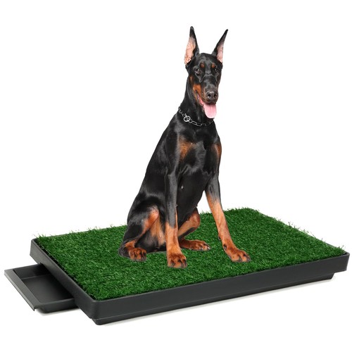Hundetoilette mit - ®,