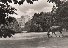 Postkarte - Essen / Villa
