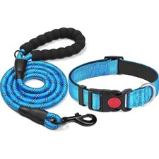 Hundehalsband reflektierend