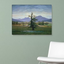 Wandkings leinwandbild caspar - leinwandbild,