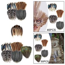 Federn zum Basteln Farben