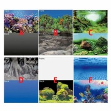Superfish Deko Poster Aquarium doppelseitiges Bild Fischtank Hintergrund Landschaft