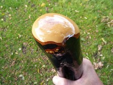 RIESIGER IRISCHER BLACKTHORN