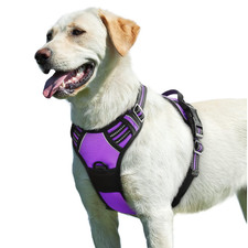 Anti Zug Hundegeschirr Lila