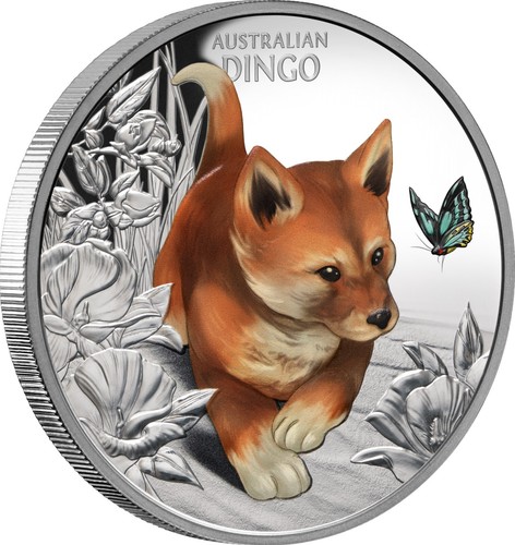 Dollar cute and - 1,