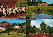 Lutterloh Naturpark Suedheide