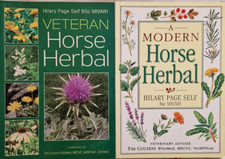 Pferde "Veteran Horse Herbal"/