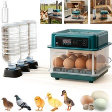 Vollautomatisch Brutautomat