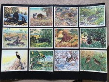 " Voss " Magarine 34 Bilder  50er Jahre ? gut erhalten