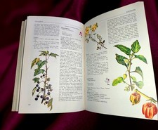 Altes Kräuterbuch aus 1978